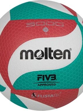 FIVB-Approved Molten V5M5000 Volleyball